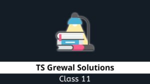 TS Grewal Class 11 Solutions 2023-24 » SikshaPlus.Com