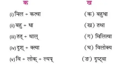Bihar Board Class 9 Sanskrit Chapter 10