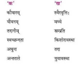 Bihar Board Class 9 Sanskrit Chapter 13