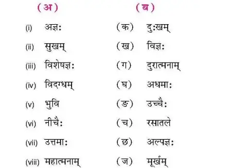 Bihar Board class 9 Sanskrit chapter 8