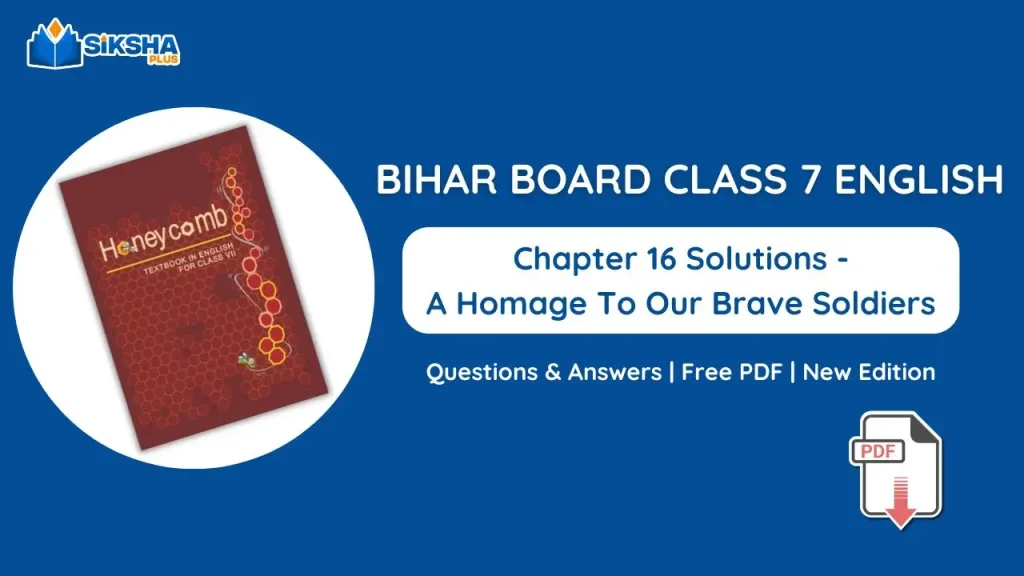 Bihar Board Class 7 English Chapter 16 Solutions New