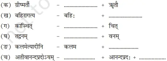 Bihar Board Class 8 Sanskrit Chapter 12